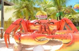 city-tour-fortaleza (8)