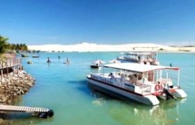 mundau-flexeiras (1)