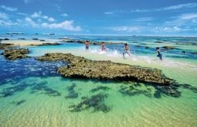 mundau-flexeiras (6)